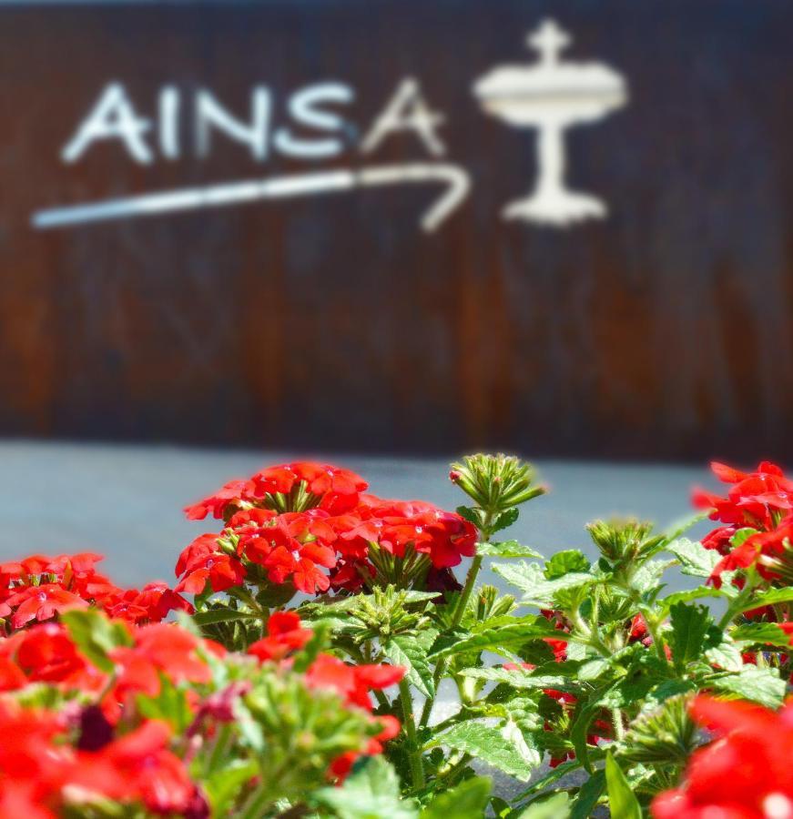 Guest House Ainsa Pirineos 외부 사진
